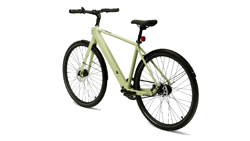 Avocado Green-2.png