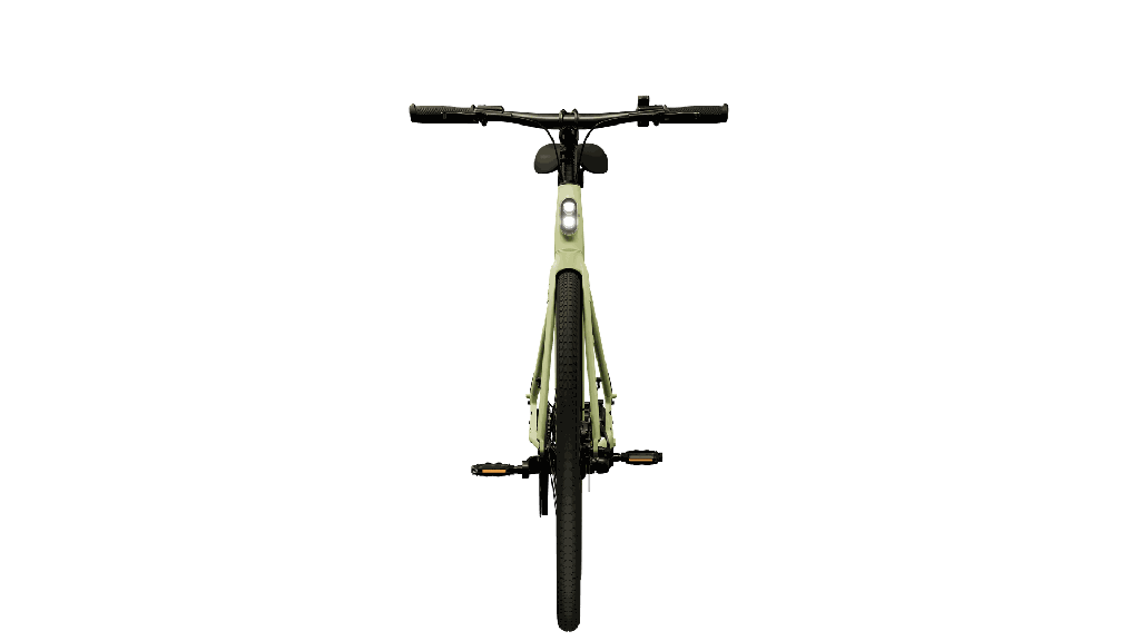 Avocado Green-5.png