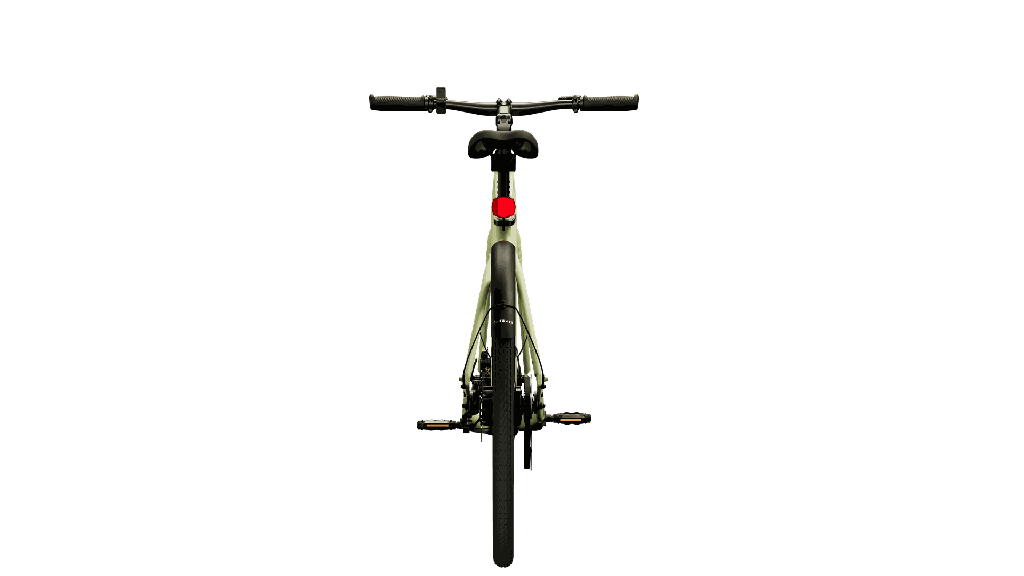 Avocado Green-9.png